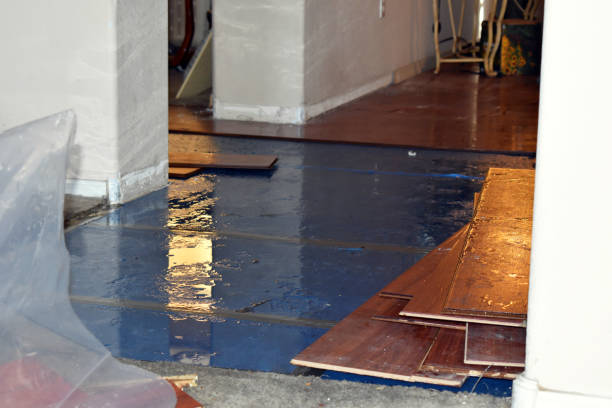 Professional Water Damage Restoration technician working in Vashon, WA